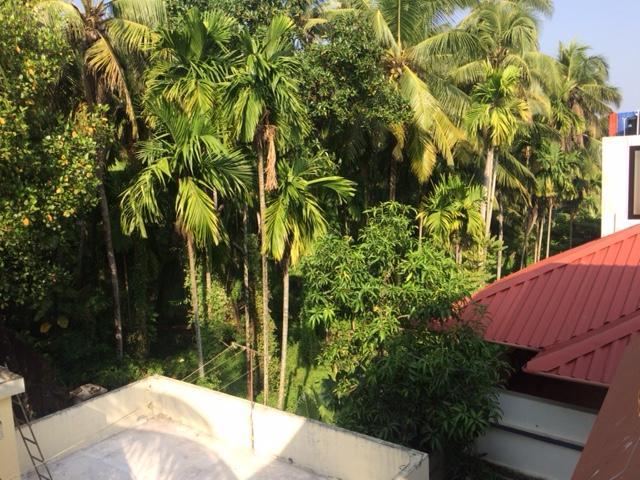 Greenview Homestay Kochi Екстер'єр фото